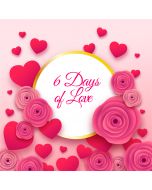 Buy Valentine party hamper for 6 Days Online